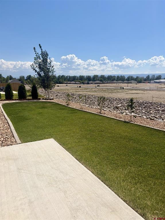 1501 Excelsior Creek Avenue Montrose CO 81401
