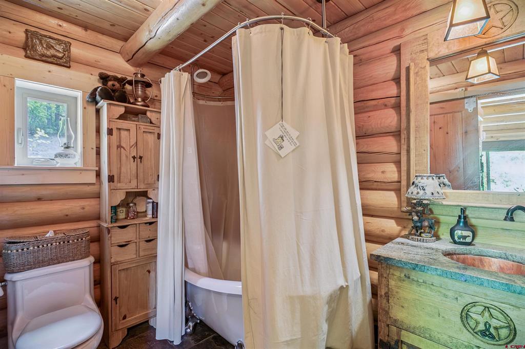 567 Lariat Place Pagosa Springs CO 81147