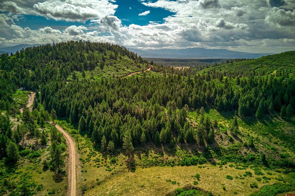 567 Lariat Place Pagosa Springs CO 81147