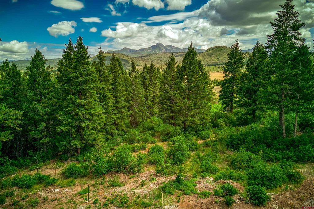 567 Lariat Place Pagosa Springs CO 81147
