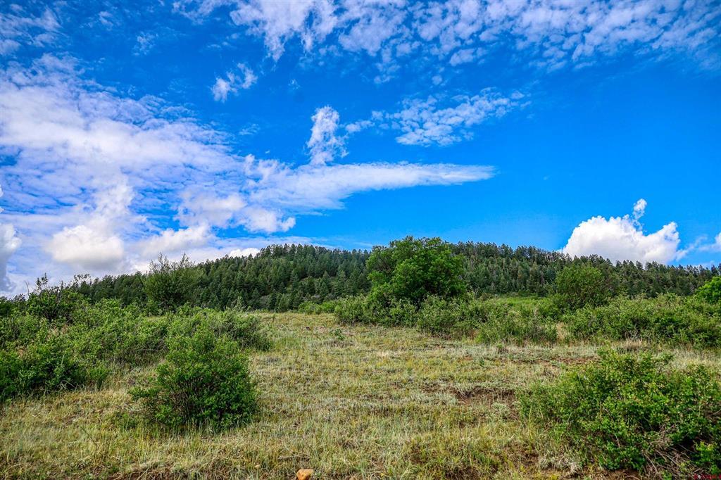 567 Lariat Place Pagosa Springs CO 81147