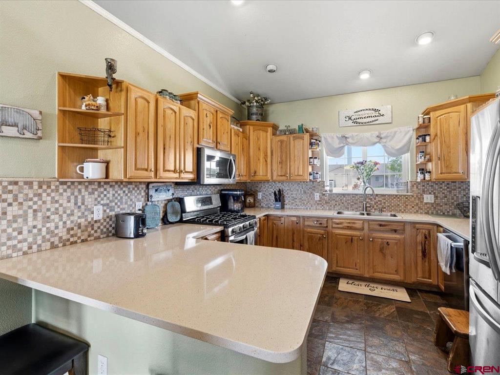 11595 Joyful Way Montrose CO 81401
