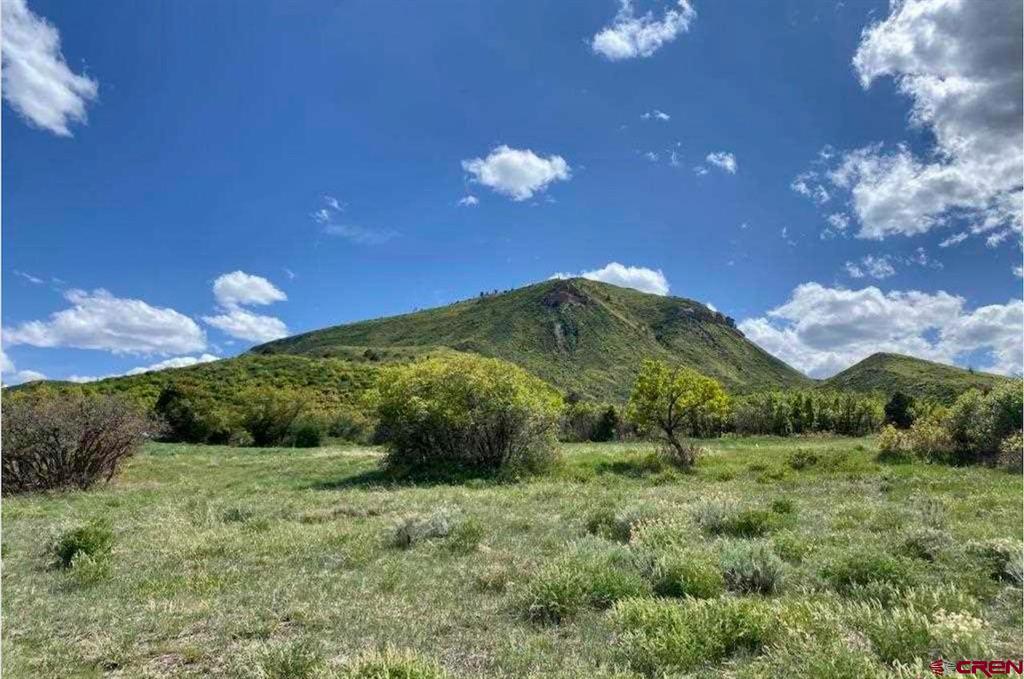 45282 Road J.8 Mancos CO 81328