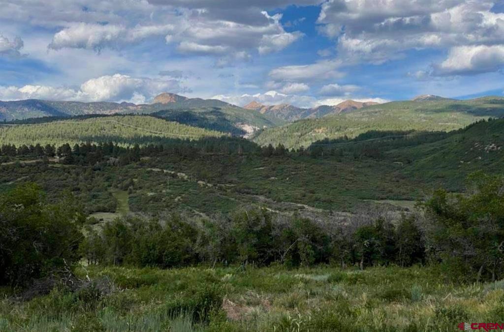 45282 Road J.8 Mancos CO 81328