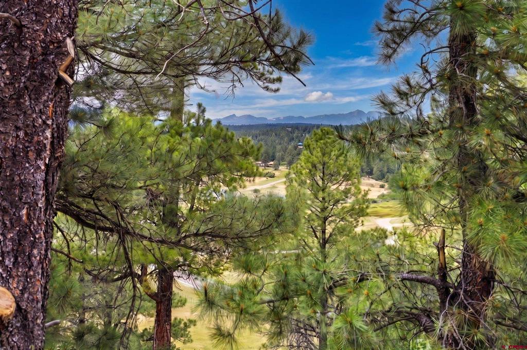 58 Glenwood Court Pagosa Springs CO 81147