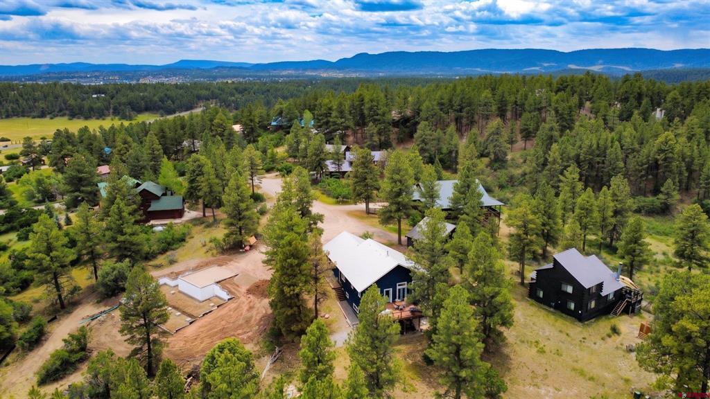 58 Glenwood Court Pagosa Springs CO 81147