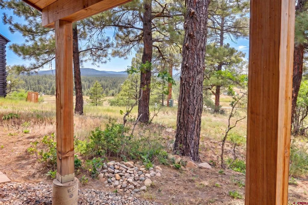 58 Glenwood Court Pagosa Springs CO 81147