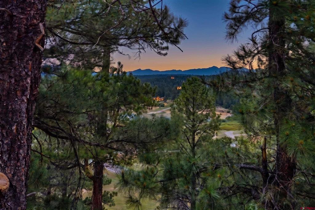 58 Glenwood Court Pagosa Springs CO 81147