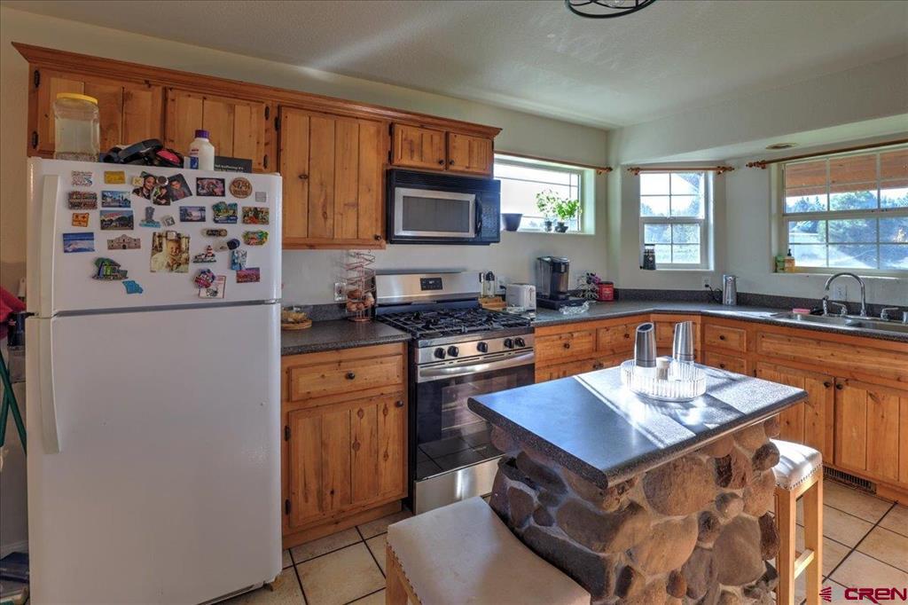 313 Morro Circle Pagosa Springs CO 81147