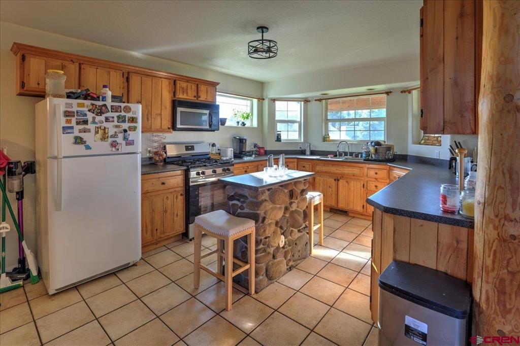 313 Morro Circle Pagosa Springs CO 81147