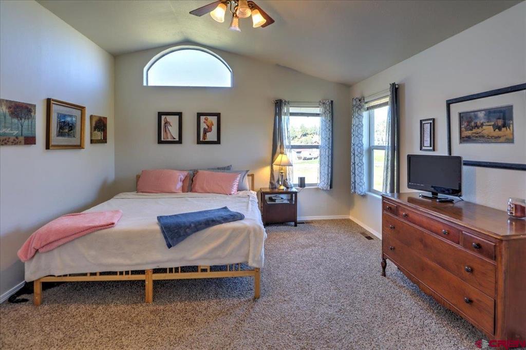 313 Morro Circle Pagosa Springs CO 81147