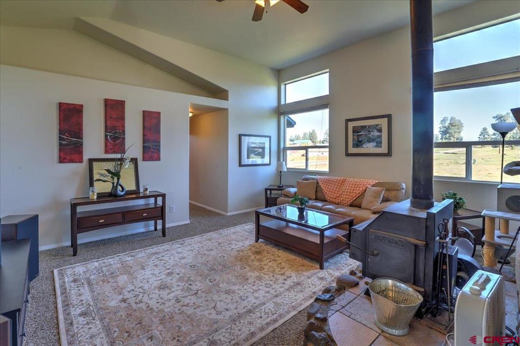 313 Morro Circle Pagosa Springs CO 81147