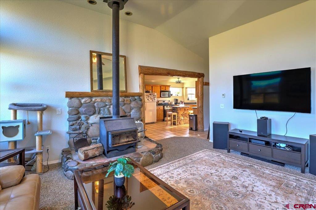 313 Morro Circle Pagosa Springs CO 81147