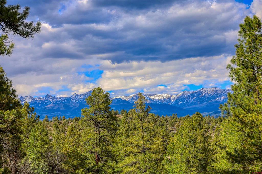 802 Buttress Avenue Pagosa Springs CO 81147