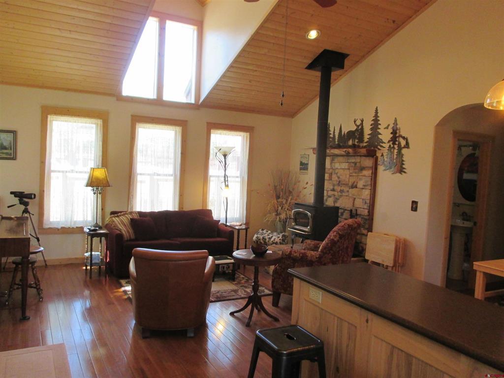 613 Henson Street Lake City CO 81235