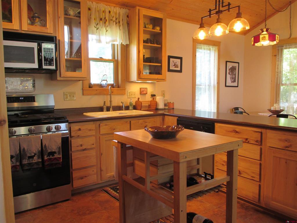 613 Henson Street Lake City CO 81235