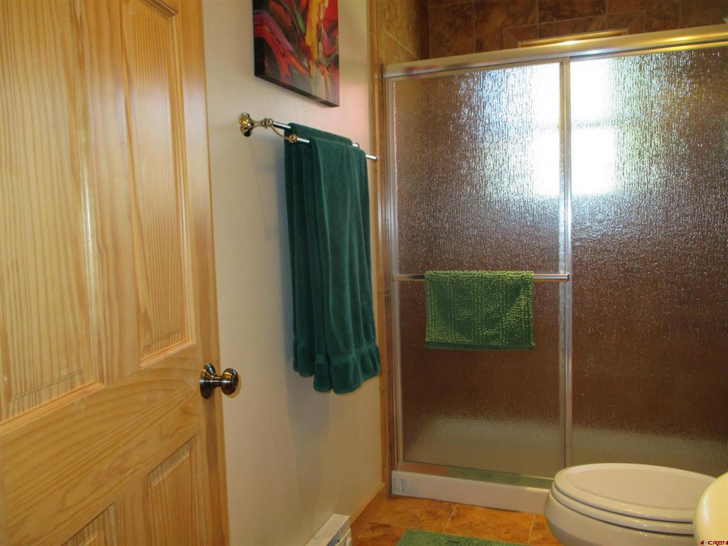 613 Henson Street Lake City CO 81235