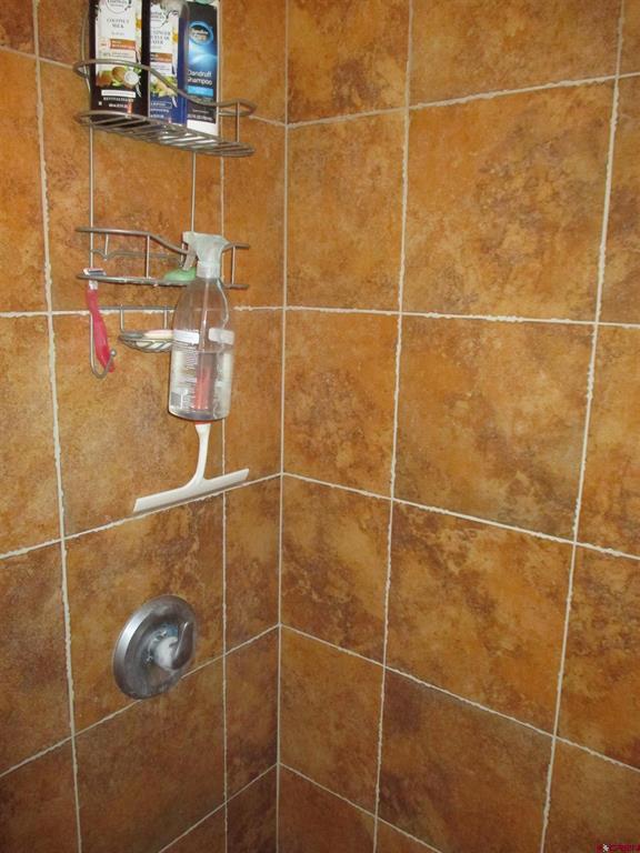 613 Henson Street Lake City CO 81235