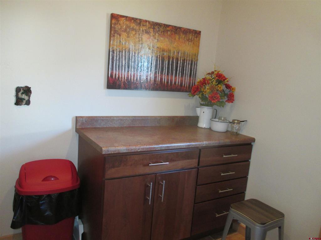 613 Henson Street Lake City CO 81235
