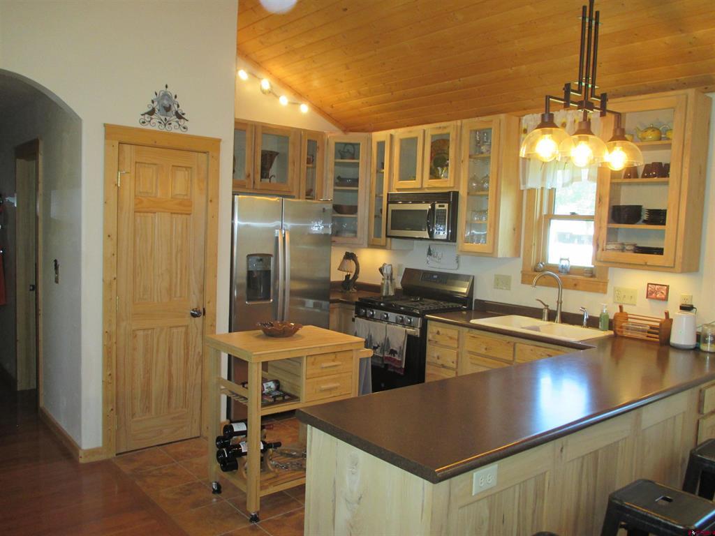 613 Henson Street Lake City CO 81235