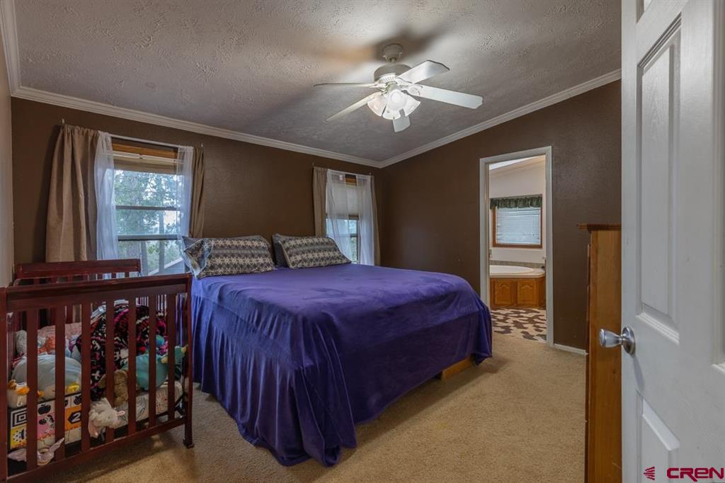 133 Pine Cone Drive Bayfield CO 81122
