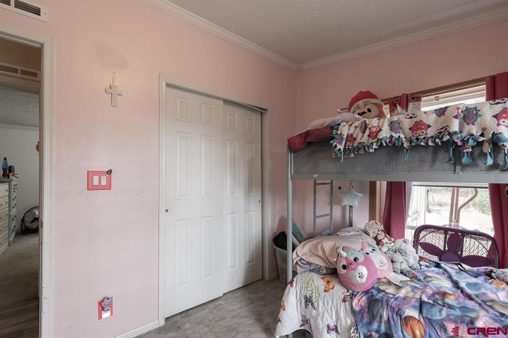 133 Pine Cone Drive Bayfield CO 81122
