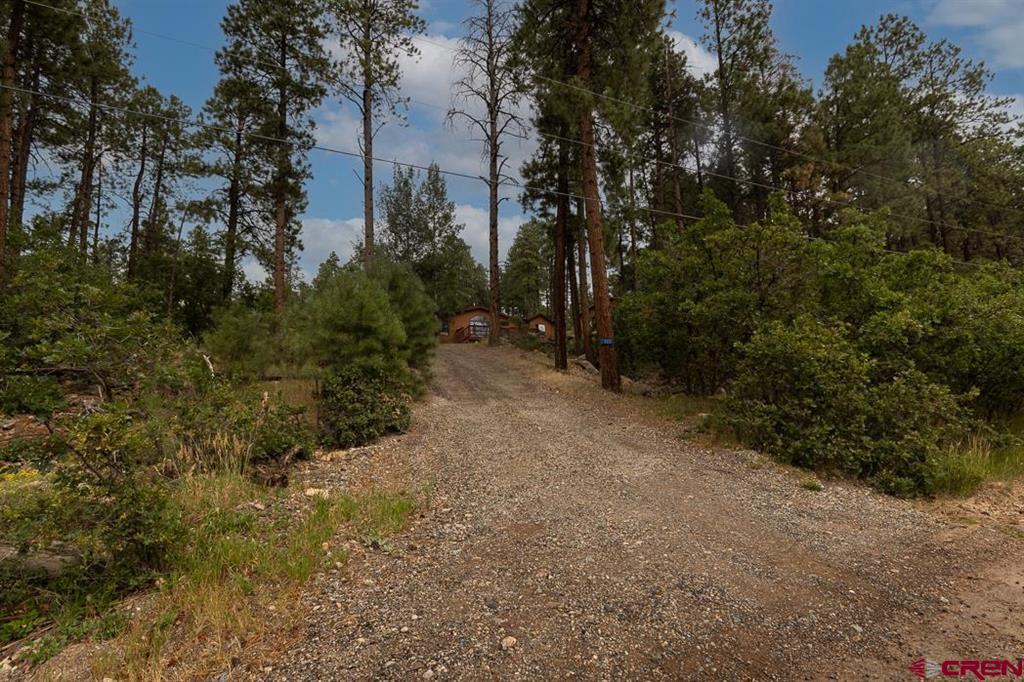 133 Pine Cone Drive Bayfield CO 81122