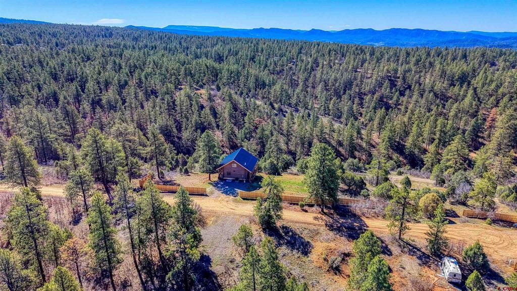 130 Carey's Court Pagosa Springs CO 81147