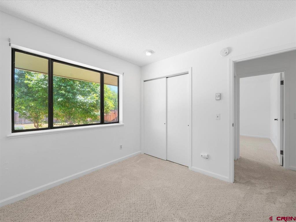 450 N Cora Street Ridgway CO 81432