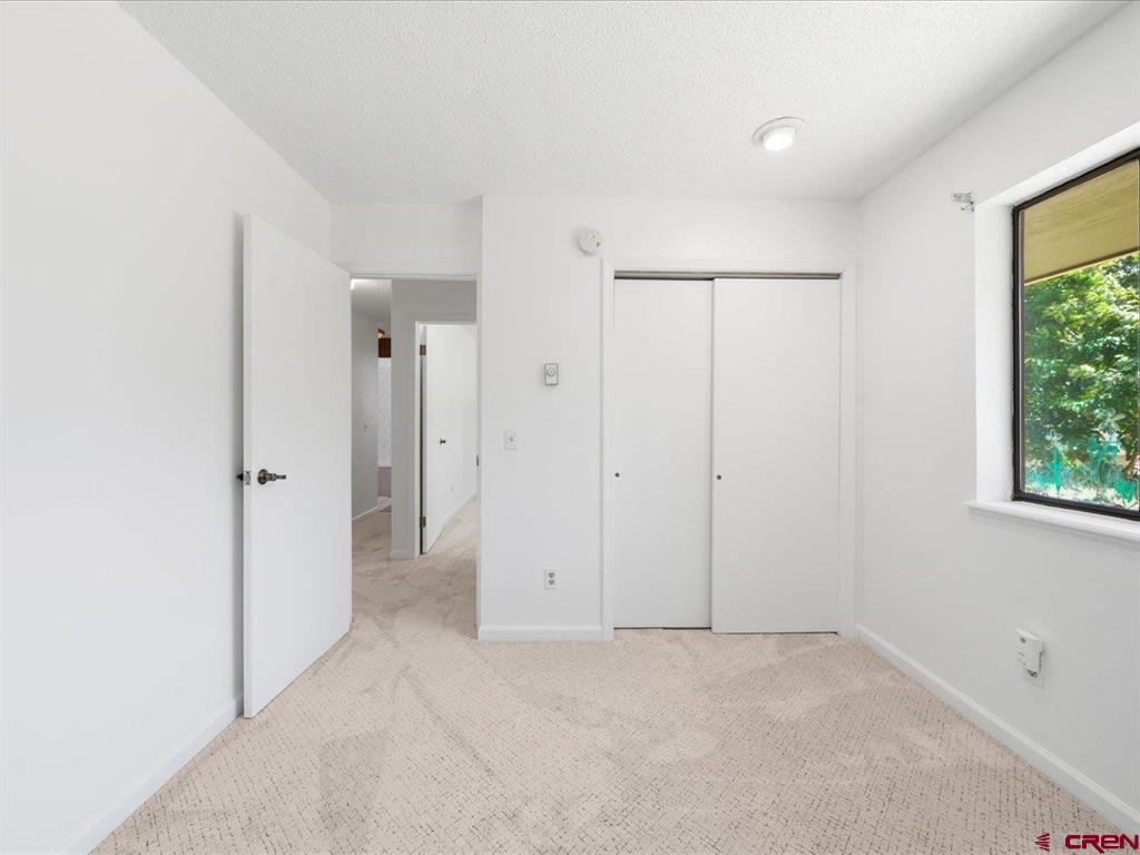 450 N Cora Street Ridgway CO 81432