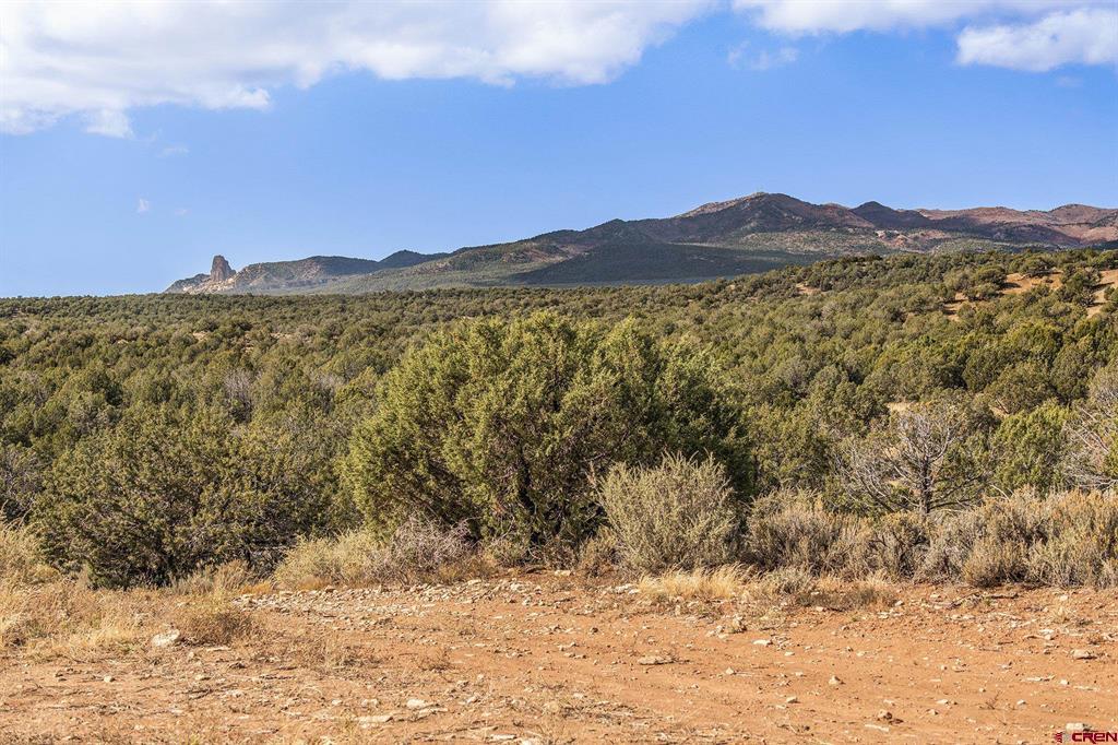 2997 20.5 Road Cortez CO 81321