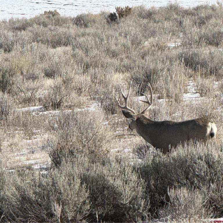 2997 20.5 Road Cortez CO 81321