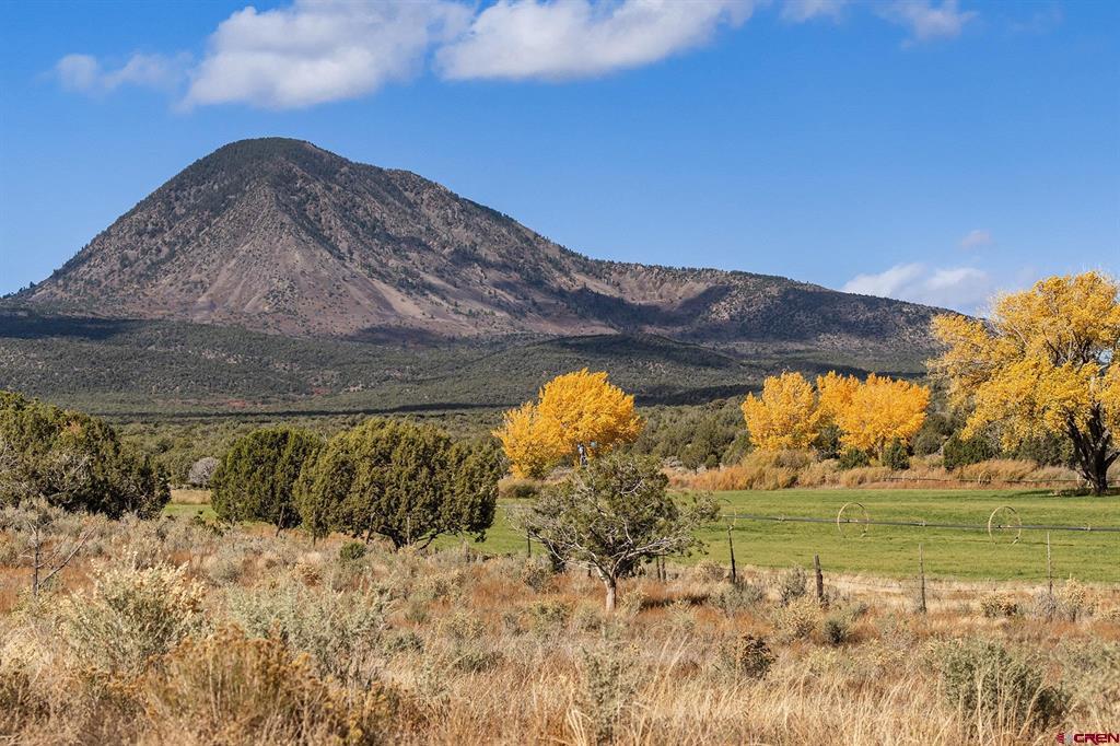 2997 20.5 Road Cortez CO 81321