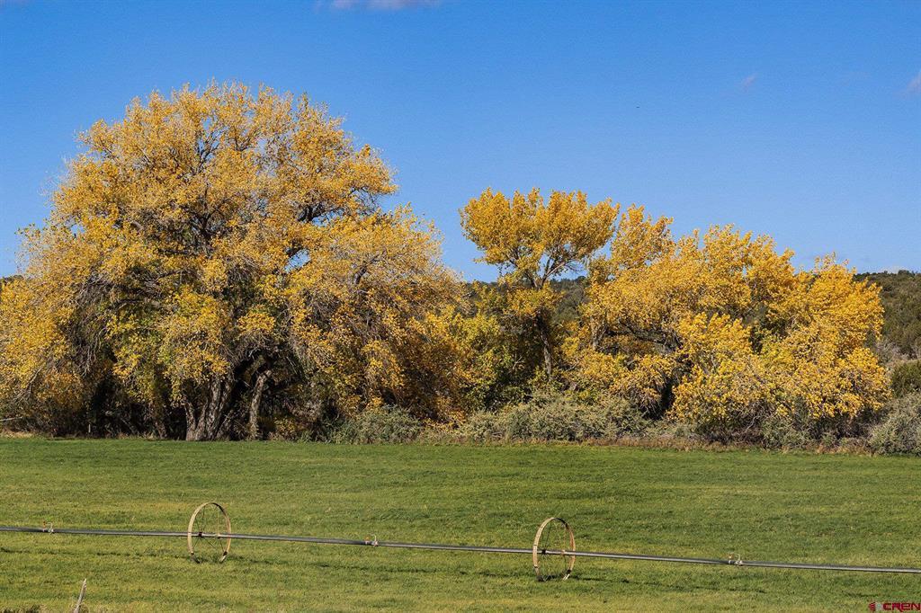 2997 20.5 Road Cortez CO 81321