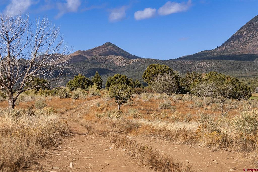 2997 20.5 Road Cortez CO 81321