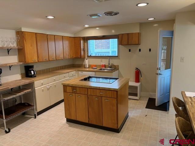 532 Oak Street Ouray CO 81427
