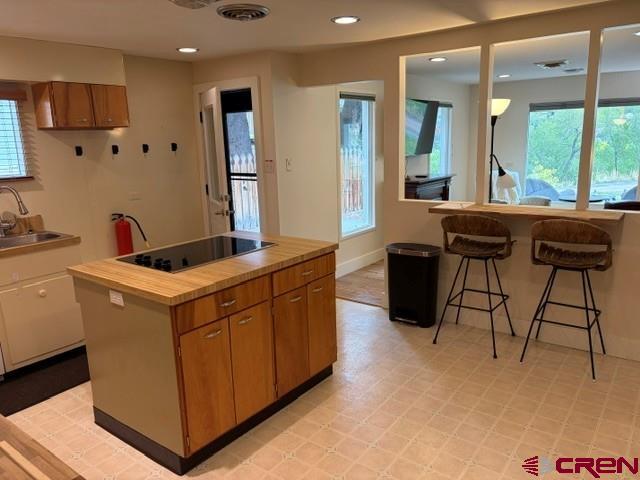 532 Oak Street Ouray CO 81427