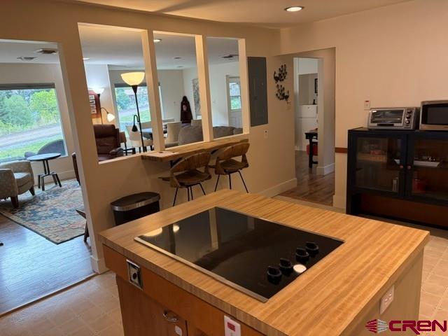 532 Oak Street Ouray CO 81427