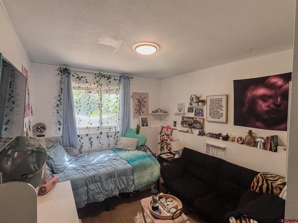 1375 N Cactus Drive Bayfield CO 81122