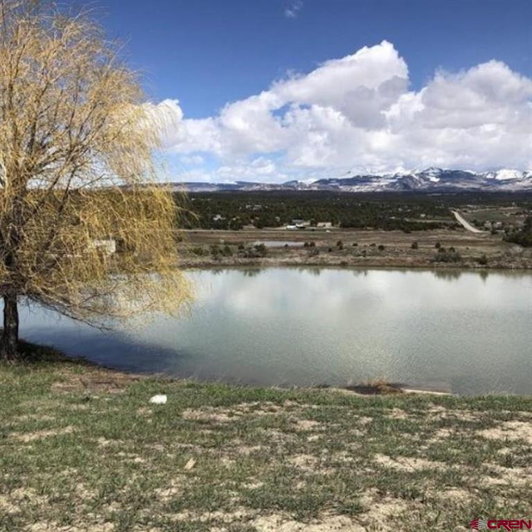37988 & 38014 Highway 184 Mancos CO 81328