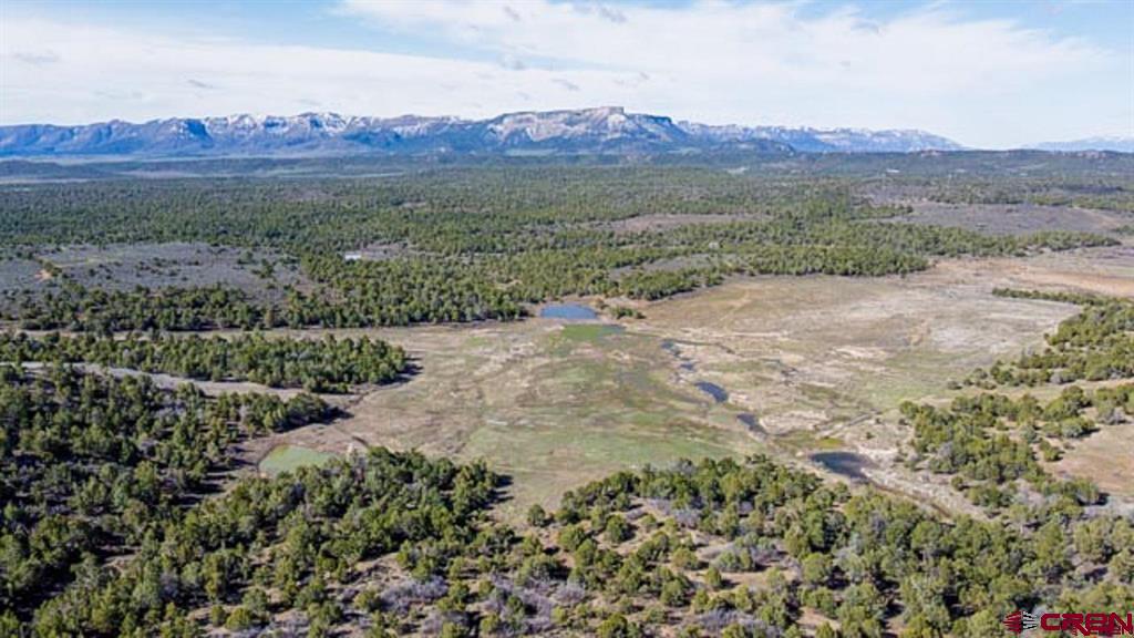 37988 & 38014 Highway 184 Mancos CO 81328