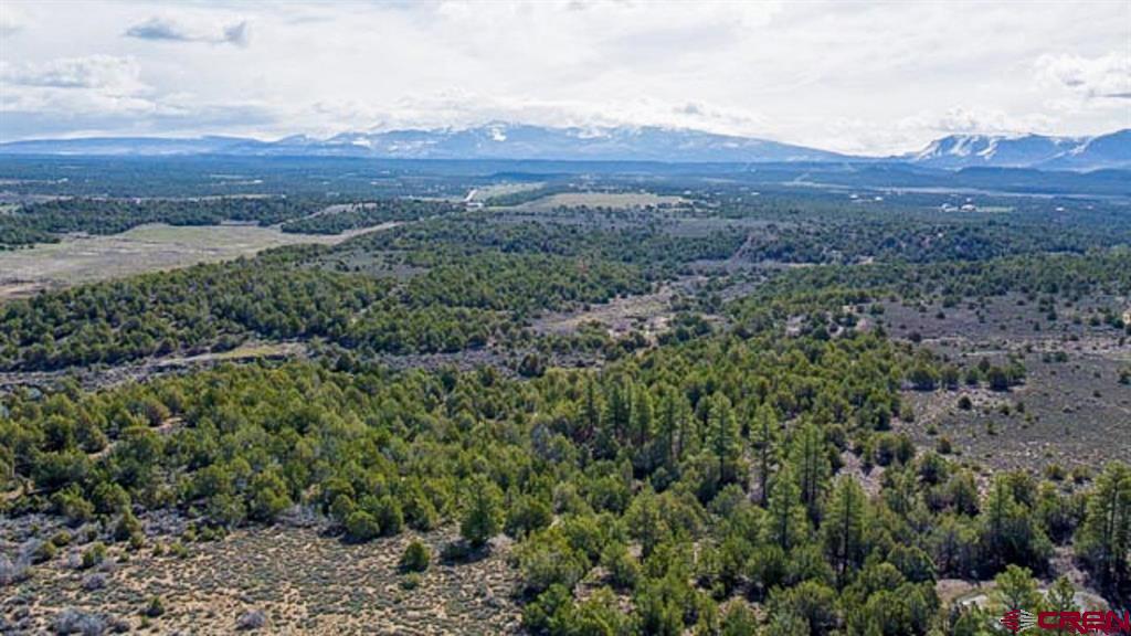 37988 & 38014 Highway 184 Mancos CO 81328