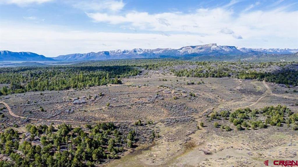 37988 & 38014 Highway 184 Mancos CO 81328