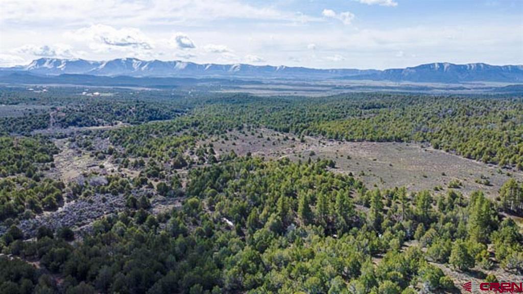 37988 & 38014 Highway 184 Mancos CO 81328