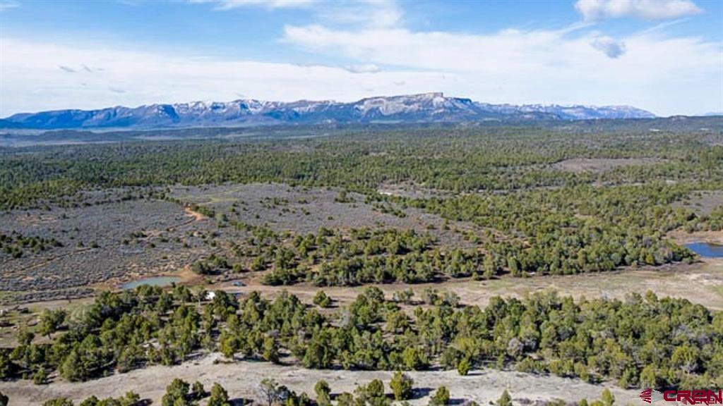 37988 & 38014 Highway 184 Mancos CO 81328