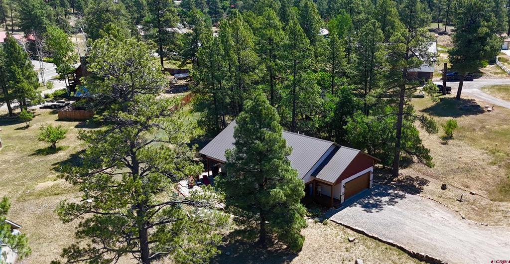 44 S Driver Court Pagosa Springs CO 81147