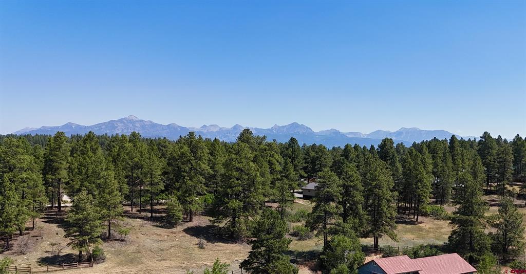 44 S Driver Court Pagosa Springs CO 81147