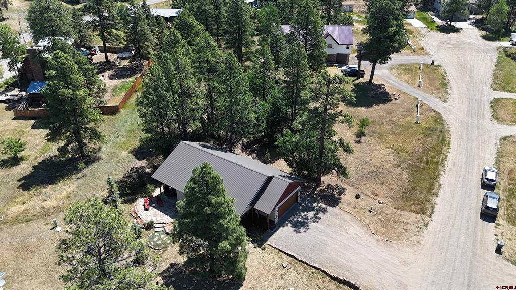 44 S Driver Court Pagosa Springs CO 81147