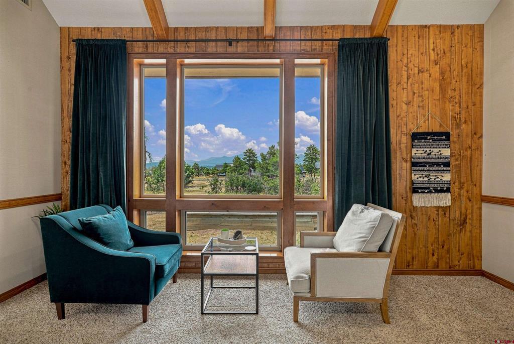 245 Heath Drive Pagosa Springs CO 81147