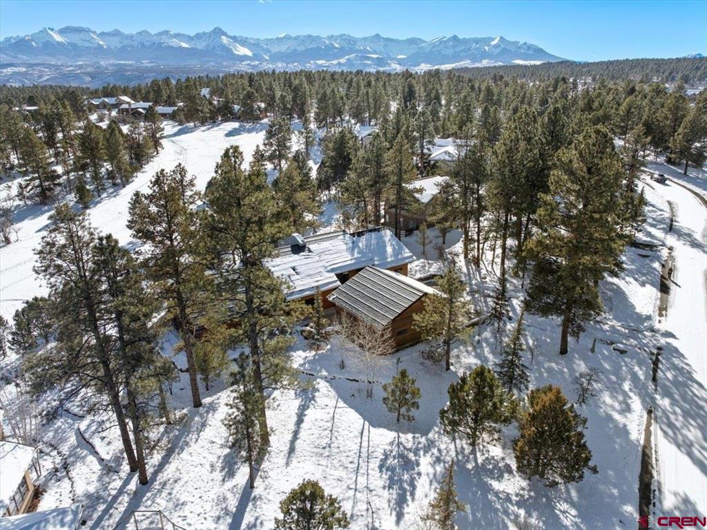 412 S Badger Trail Ridgway CO 81432